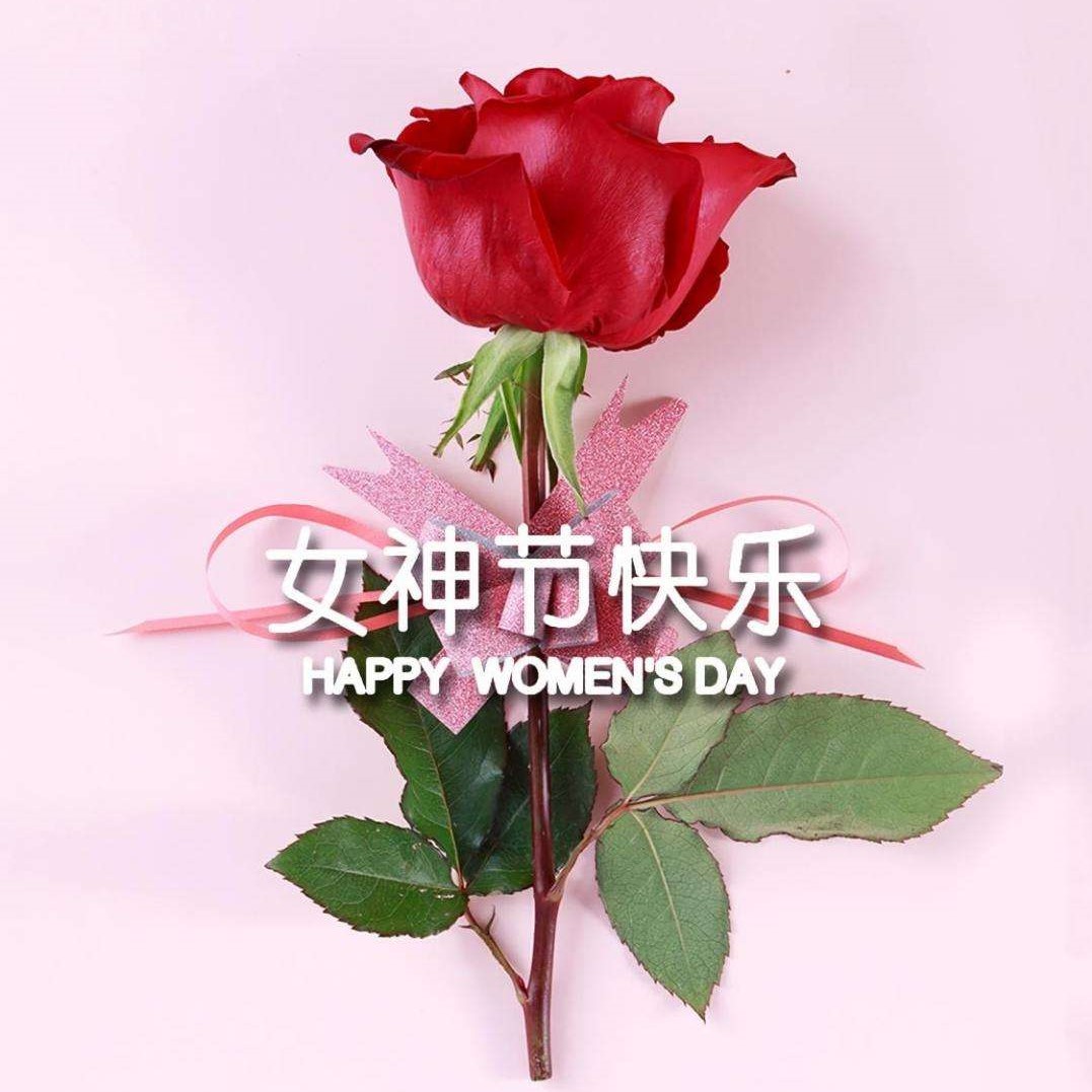 女神節(jié)特輯丨以醫(yī)療力量，筑女性健康